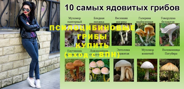 МДПВ Новокубанск