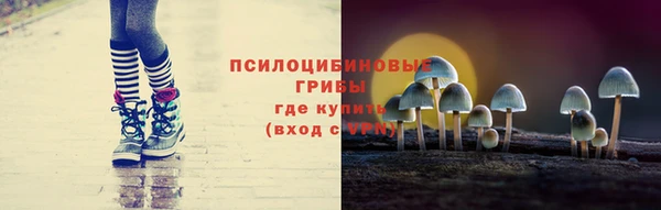молекула духа Балахна