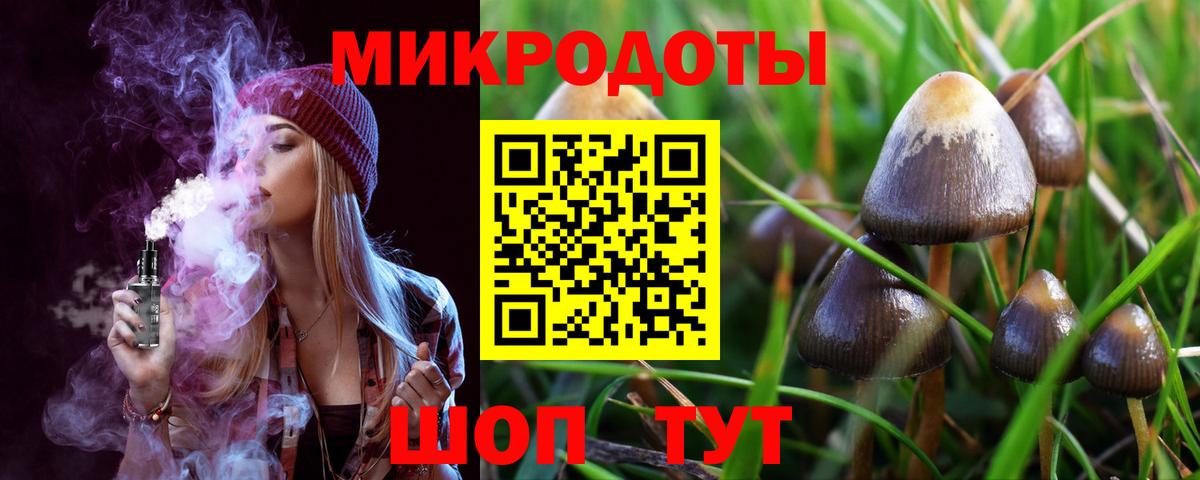 Псилоцибиновые грибы Cubensis Ногинск